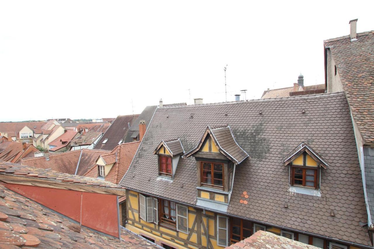 Colmar City Center - Appartement Petit Ours - Bookingalsace المظهر الخارجي الصورة