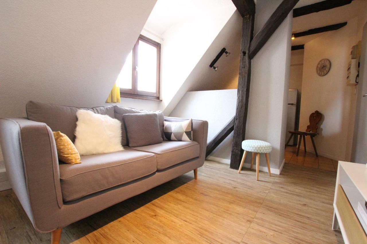 Colmar City Center - Appartement Petit Ours - Bookingalsace المظهر الخارجي الصورة